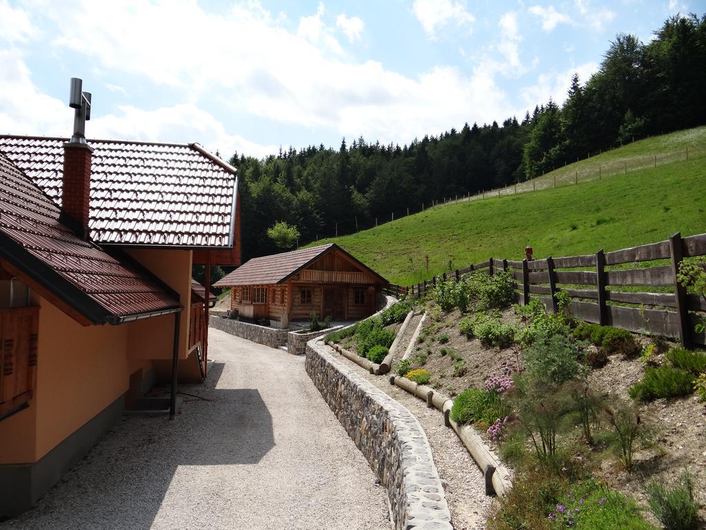 Apartments Trebusak Laze v Tuhinju Zewnętrze zdjęcie